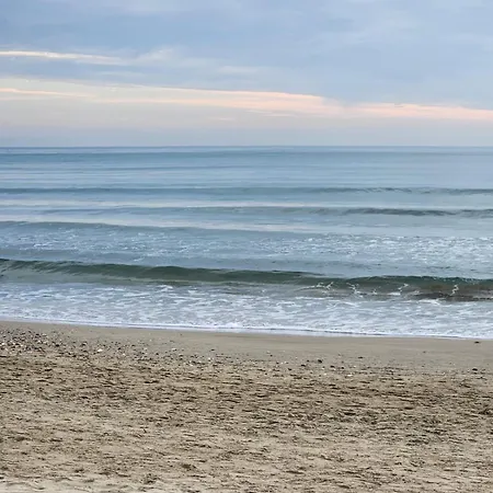 Le Peche Mignon - 1 - Locationlatamarissiere