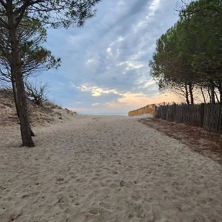 Le Peche Mignon - 1 - Locationlatamarissiere 公寓 *