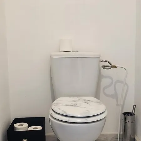 Le Peche Mignon - 1 - Locationlatamarissiere 公寓 阿格德