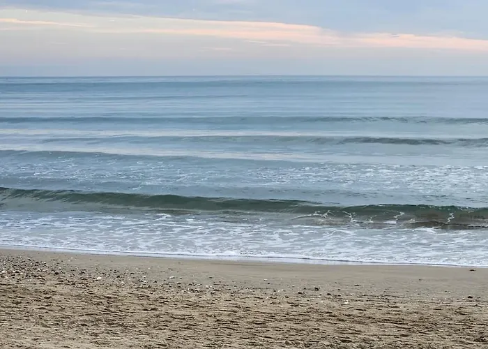 Le Peche Mignon - 1 - Locationlatamarissiere