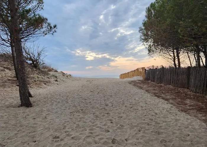 Le Peche Mignon - 1 - Locationlatamarissiere Appartement *